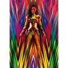 Bandai S.H.Figuarts - WW84 Wonder Woman Golden Armor Comics