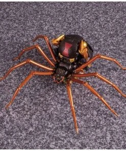Takara Tomy Transformers Masterpiece MP-46 Beast Wars Blackarachnia 26 Takara Tomy Transformers Masterpiece MP-46 Beast Wars Blackarachnia